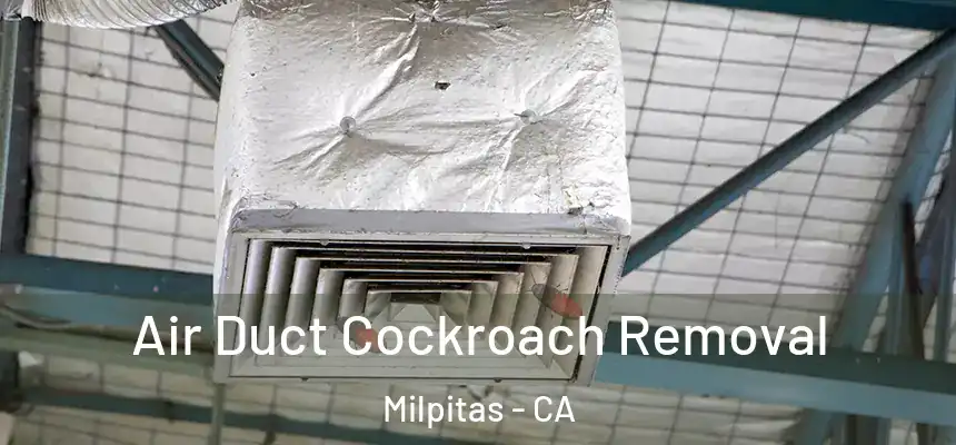 Air Duct Cockroach Removal Milpitas - CA