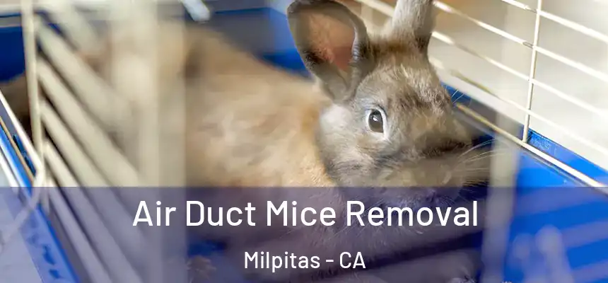 Air Duct Mice Removal Milpitas - CA