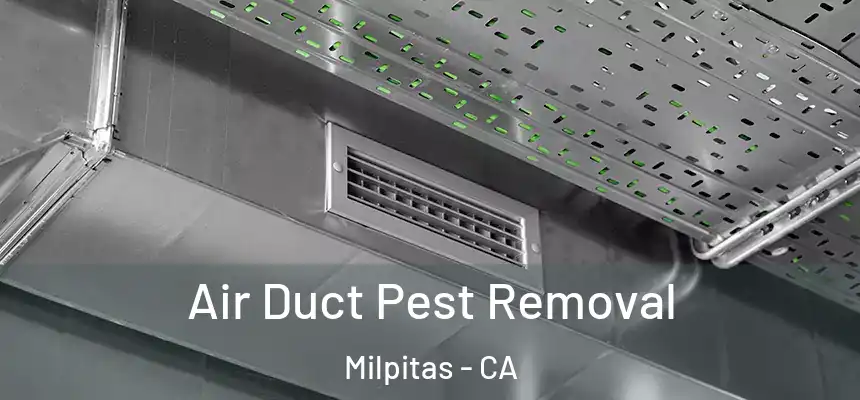 Air Duct Pest Removal Milpitas - CA