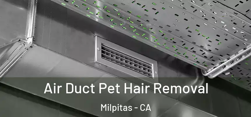 Air Duct Pet Hair Removal Milpitas - CA