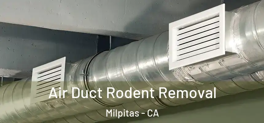 Air Duct Rodent Removal Milpitas - CA