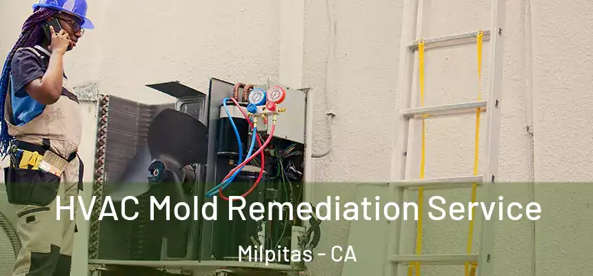 HVAC Mold Remediation Service Milpitas - CA