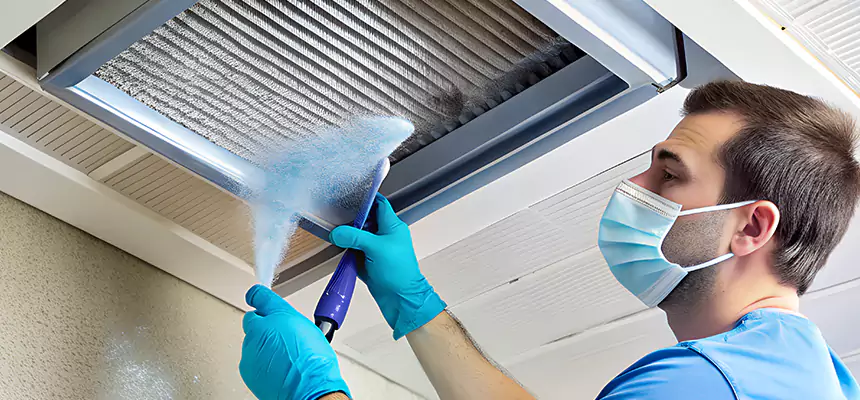 Proactive Dryer Vent & Auxiliary Duct Pollen Cleanup in Milpitas, CA