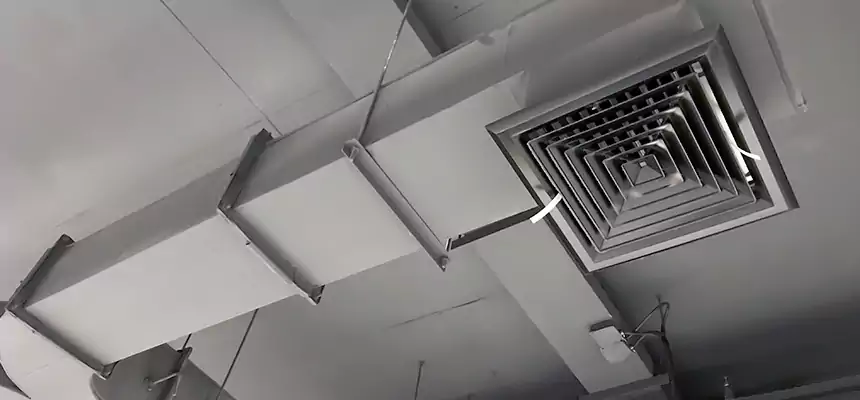 Restorative Allergy Relief Vent Cleaning – Coil, Blower & Housing Detail in Milpitas