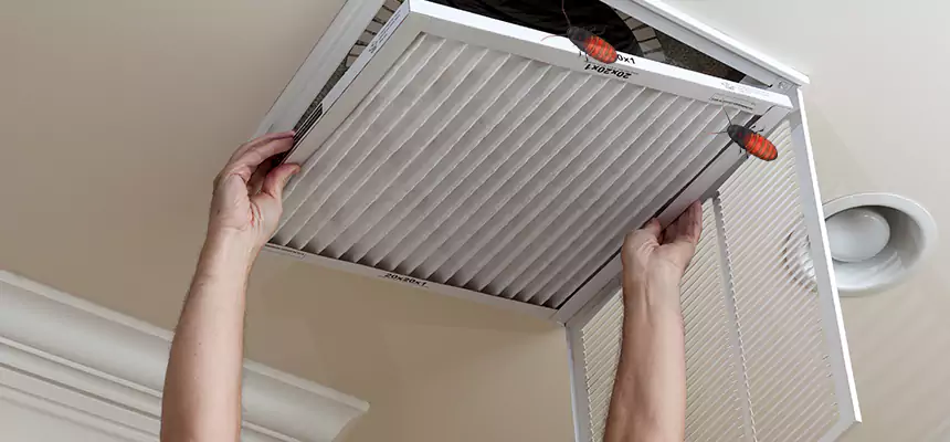 Our Insect Removal from Air Ducts Services in Milpitas, CA