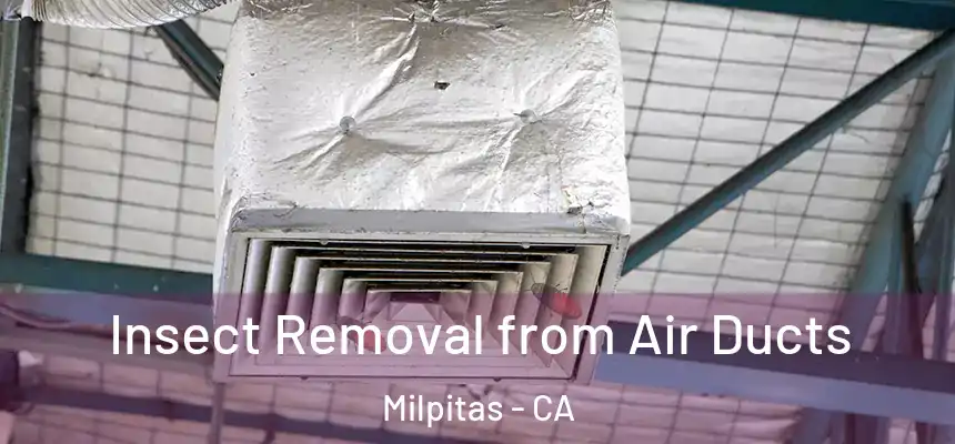 Insect Removal from Air Ducts Milpitas - CA