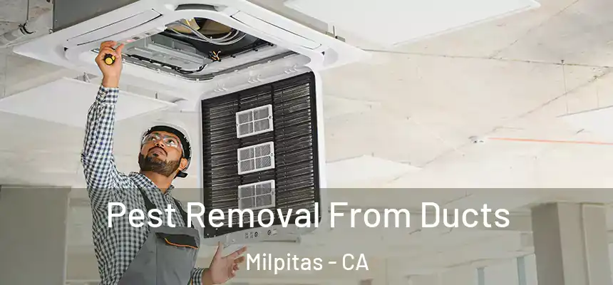 Pest Removal From Ducts Milpitas - CA