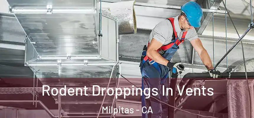 Rodent Droppings In Vents Milpitas - CA