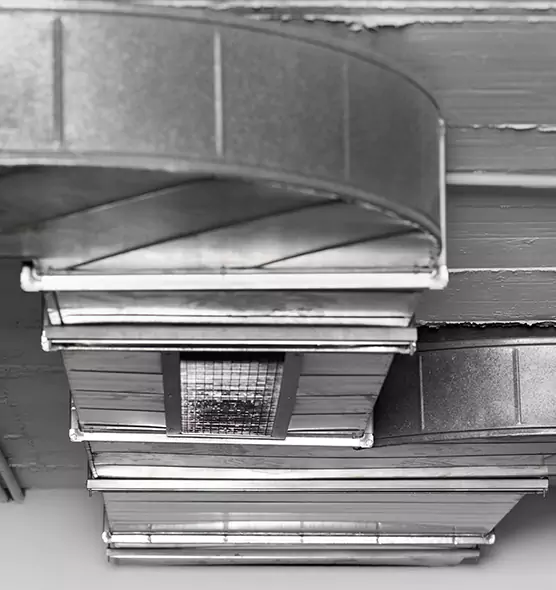 Professional Air Duct Pest Removal in Milpitas, CA