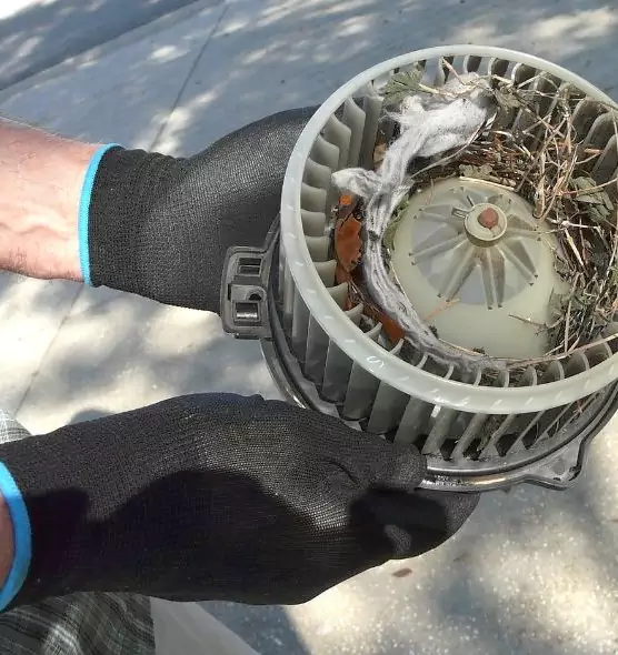 About Air Duct Rat Removal in Milpitas, CA