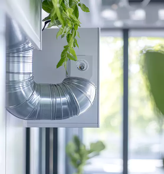 Professional Eco-Friendly Duct Cleaning Services in Milpitas, CA