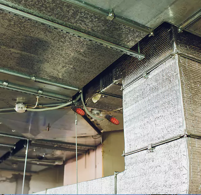 Why Homeowners & Businesses Trust Us in Milpitas, CA?