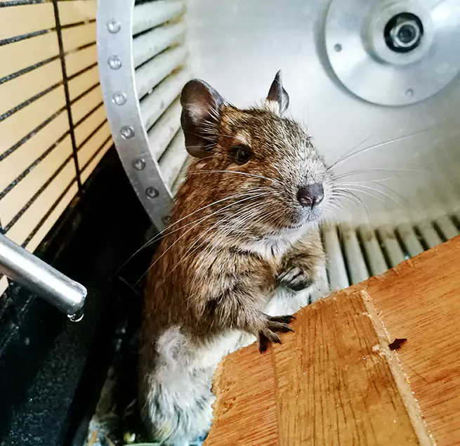 Why Homeowners & Businesses Trust Us Milpitas, CA?