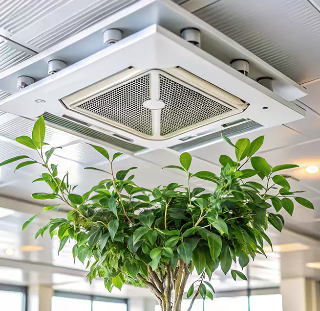 Why Homeowners & Businesses Trust Us in Milpitas, CA?