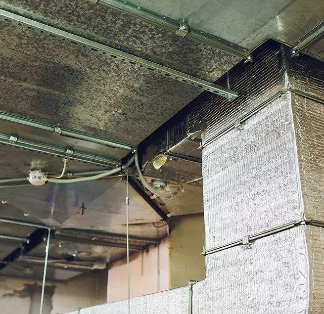 Why Homeowners & Businesses Trust Us in Milpitas, CA?